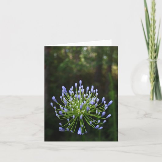Carte de note d'Agapanthus (Devant)