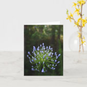 Carte de note d'Agapanthus (Fleur jaune)