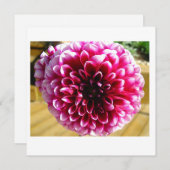 Carte de note Dahlia Dahlia Dahlia (Devant / Derrière)