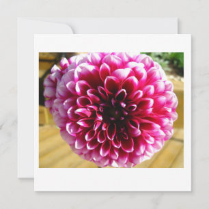 Carte de note Dahlia Dahlia Dahlia