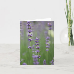Carte de note Dainty Lavender