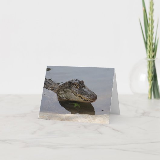 Carte de note d'alligator (Devant)