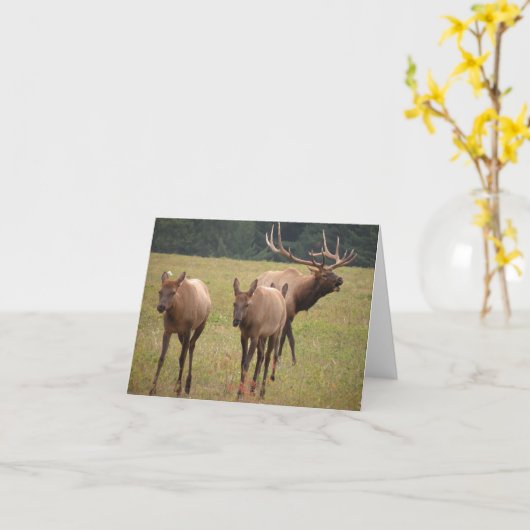 Carte de note d'angle (Fleur jaune)