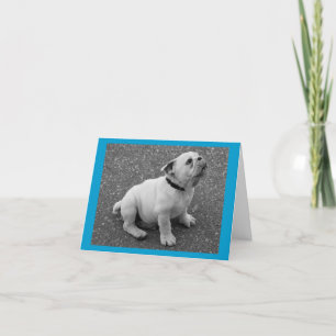 Carte de note de bienvenue anglaise Bulldog Chien 