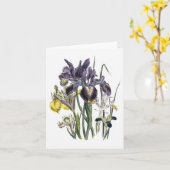 Carte de note de blanc d'aquarelle d'iris (Fleur jaune)