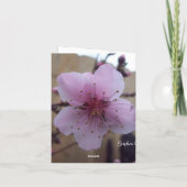 Carte de note de blanc de fleur de ressort (Dos)
