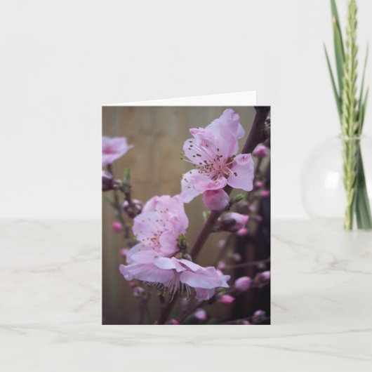 Carte de note de blanc de fleur de ressort (Devant)