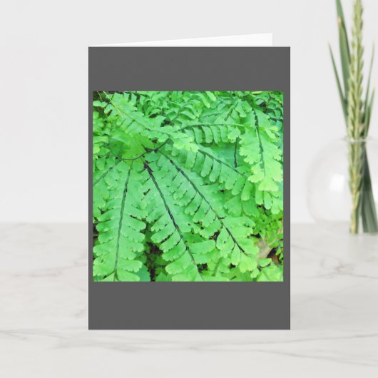 Carte de note de blanc de fougère de Maidenhair (Devant)