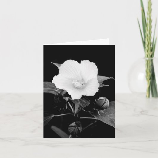 Carte de note de blanc de mauve rose de B&W (Devant)