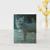 CARTE DE NOTE DE BLANC DE RENARD GRIS (Fleur jaune)