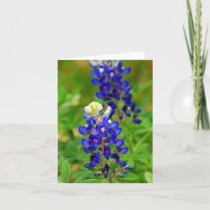 Carte de note de Bluebonnet de Texas