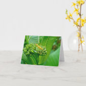 Carte de note de bogue de l'Assistant Réduviid (Fleur jaune)