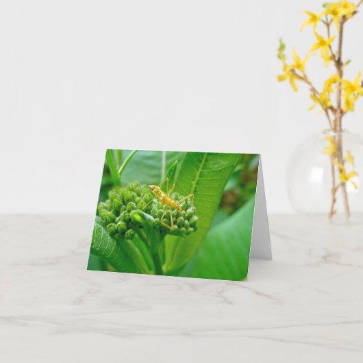 Carte de note de bogue de l'Assistant Réduviid (Fleur jaune)