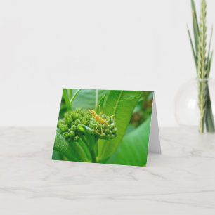 Carte de note de bogue de l'Assistant Réduviid