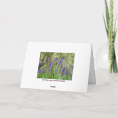 Carte de note de champ Bluebell (Dos)