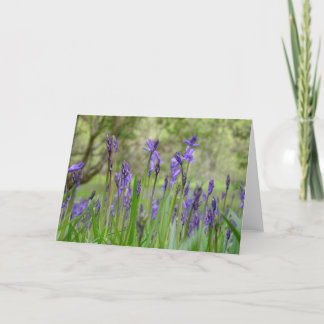 Carte de note de champ Bluebell