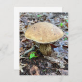 Carte de note de champignon (Devant / Derrière)