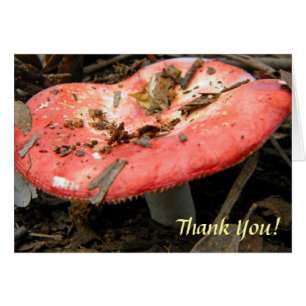 Carte de note de champignon rouge