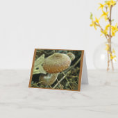 Carte de note de champignon Shaggy Casquette (Fleur jaune)