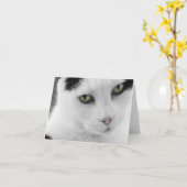 Carte de note de chat blanc (Fleur jaune)