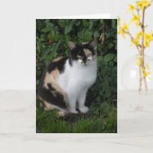Carte de note de chat Calico (Fleur jaune)