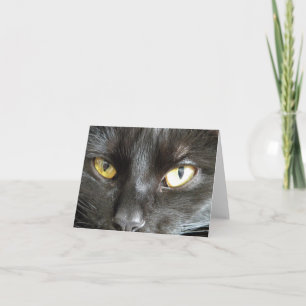 Carte de note de chat noir