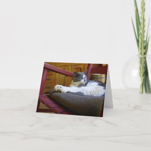 Carte de note de chat Sleepy (Devant)