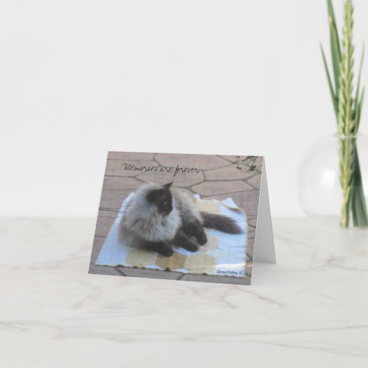 Carte de note de chat souvenirs (Devant)