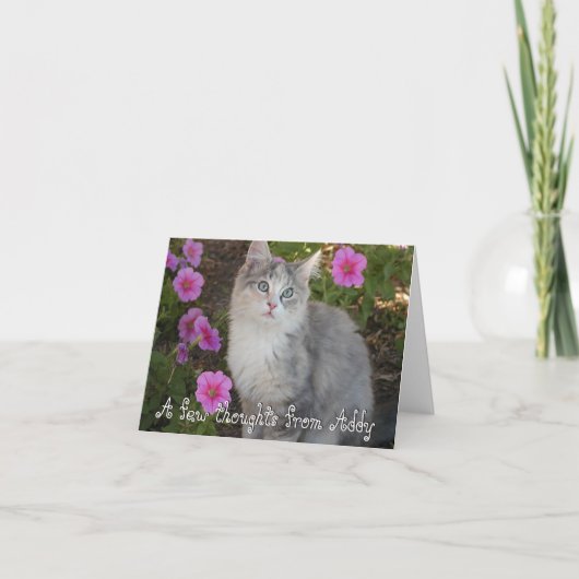 Carte de note de chaton (Devant)