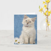 carte de note de chaton de ragdoll (Fleur jaune)