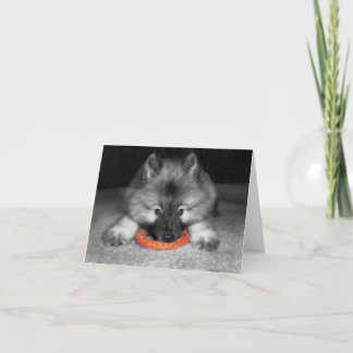 Carte de note de chiot de Keeshond