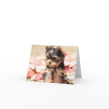Carte de note de chiot de Yorkie d'automne