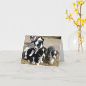 Carte de note de chiots de border collie (Fleur jaune)