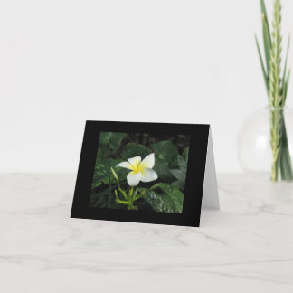 Carte de note de "cinq pétales"