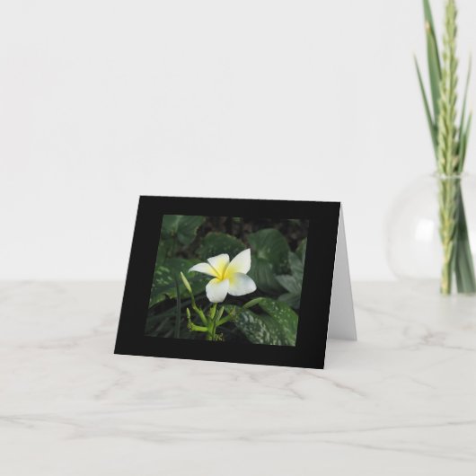 Carte de note de "cinq pétales" (Devant)