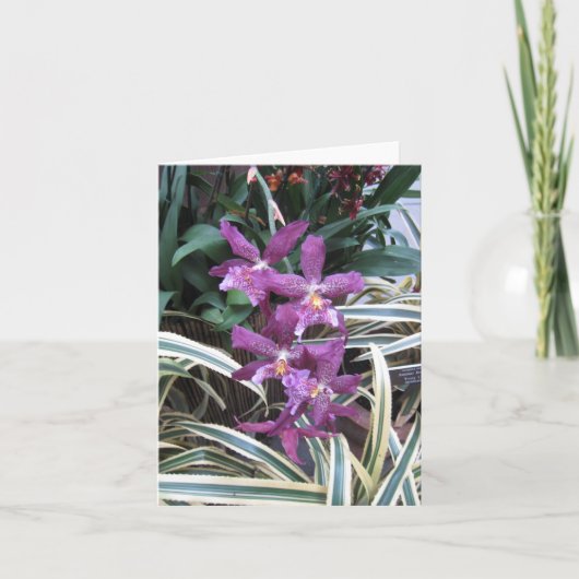 Carte de note de cluster orchidée (Devant)