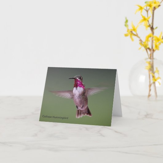 Carte de note de colibri de Calliope (Fleur jaune)