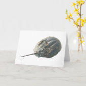 Carte de note de crabe en fer à cheval (Fleur jaune)