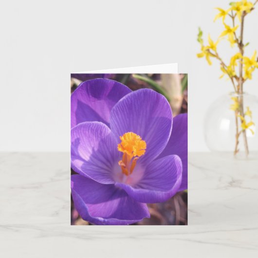 Carte de note de crocus (Fleur jaune)