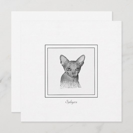 Carte de note de dessin Sphynx Chat Chalk (Devant / Derrière)