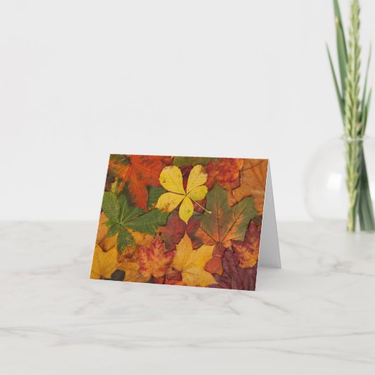Carte de note de feuilles d'automne colorées (Devant)