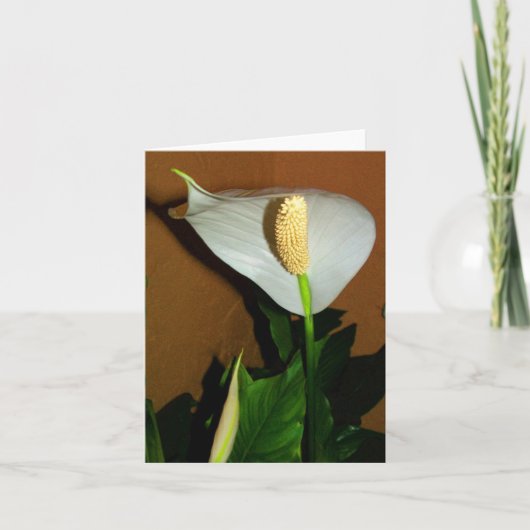 Carte de note de fleur de lily de paix (Devant)