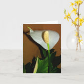 Carte de note de fleur de lily de paix (Fleur jaune)