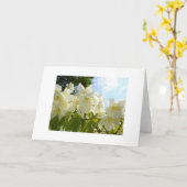 Carte de note de fleurs Jasmine (Fleur jaune)