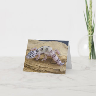 Carte de note de Gecko de léopard