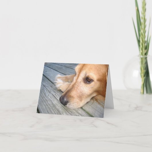 Carte de note de golden retriever (Devant)