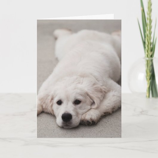 Carte de note de golden retriever (Devant)