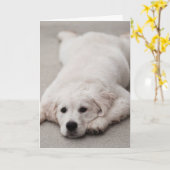 Carte de note de golden retriever (Fleur jaune)