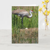 Carte de note de grue et d'oeufs de Sandhill (Fleur jaune)