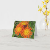 Carte de note de Hawkweed (Fleur jaune)